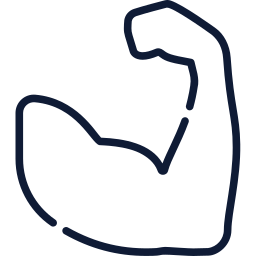Muscle